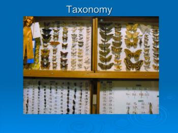 Butterflies to taxonomy case