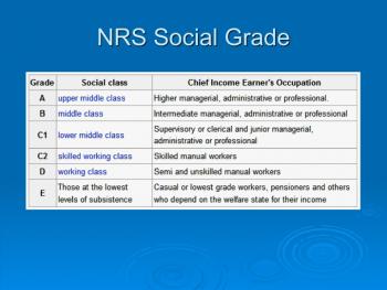 NRS social grades